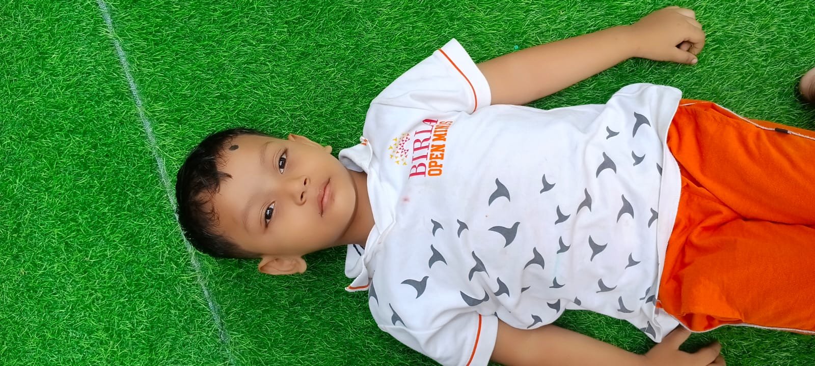 All Activities